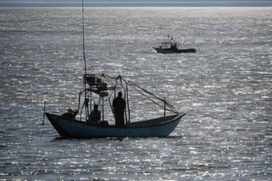 Unveiling the Secrets of Sustainable Fishing Practices