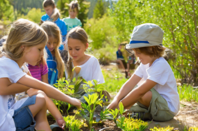 Sustainable Outdoor Education: Eco-Friendly Learning